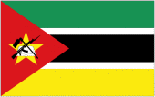 MOZAMBICAN ARTISTS MOVEMENT profile picture