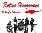 Rattus Hungaricus profile picture