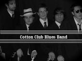 Cotton Club Blues Band profile picture