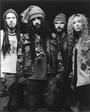 White Zombie profile picture