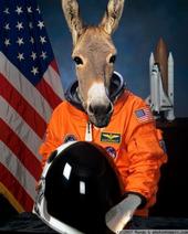 Space Donkey profile picture