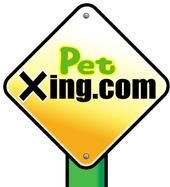 Petxing profile picture