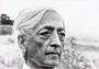 Krishnamurti profile picture