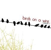 Birds On A Wire profile picture