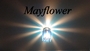 Mayflowertheband profile picture