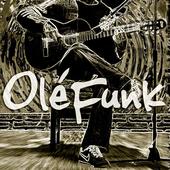 OlÃ©Funk profile picture