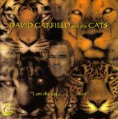 David Garfield & The Cats profile picture