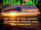 Spider Lane profile picture