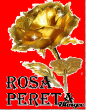 rosapereta profile picture