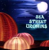 Sea Street Urchins profile picture