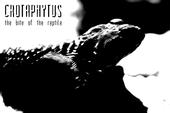 crotaphytus profile picture