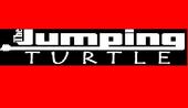 thejumpingturtle