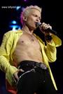 Billy Idol profile picture