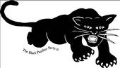 Black panther org. germany profile picture