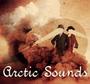 Arctic Sounds Festival profile picture