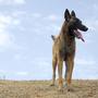 MaLiNoiS profile picture