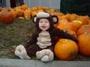 Punkin Monkey profile picture