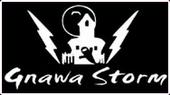 GNAWA STORM profile picture