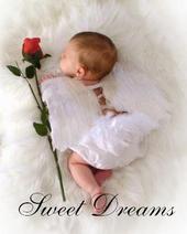 Sweet Dreams Diaper Cakes & Gifts profile picture