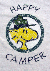 BO JEST AND THE HAPPY CAMPERS profile picture