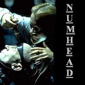 NumHeaD profile picture