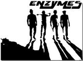 Enzymes profile picture