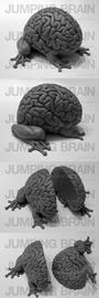 THE JUMPING BRAIN profile picture