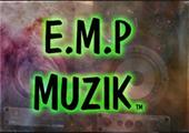 E M P MUZIK profile picture