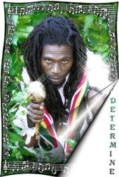 Determine Reggae profile picture