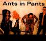 ANTS IN PANTS profile picture