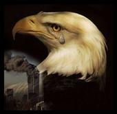 THE PATRIOT profile picture