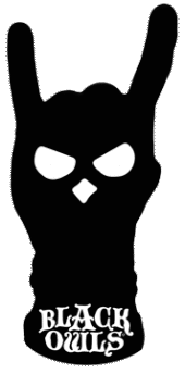 BLACK OWLS profile picture