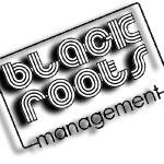 BlackRootsManagement profile picture