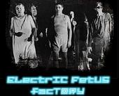 Electric Fetus Factory profile picture