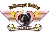 Bullieangel Rescue and Haven profile picture