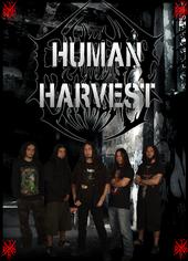 Human Harvest "NO PASARAN RECORDING" profile picture