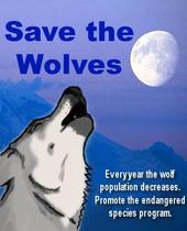 Save the Wolves profile picture