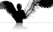 ArchAngel profile picture