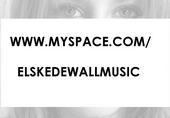 please add me @ www.myspace.com/elskedewallmusic profile picture