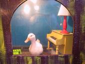 Piano Duck profile picture