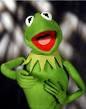 Kermit profile picture