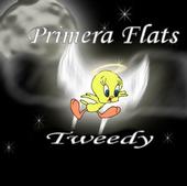 TWEEDY PRIMERA FLATS profile picture