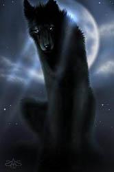 Dog Soldiers profile picture