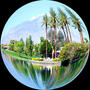 Palm Springs profile picture