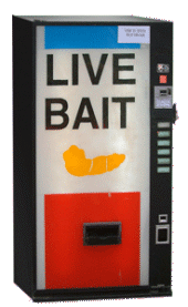 Live Bait profile picture