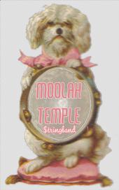 MOOLAH TEMPLE $tringband profile picture