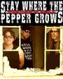 Stay Where The Pepper Grows profile picture