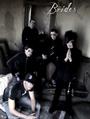 Black Veil Brides[Big Announcement Soon!] profile picture