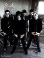 Black Veil Brides[Big Announcement Soon!] profile picture