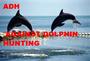 ADH=Against dolphin hunting profile picture